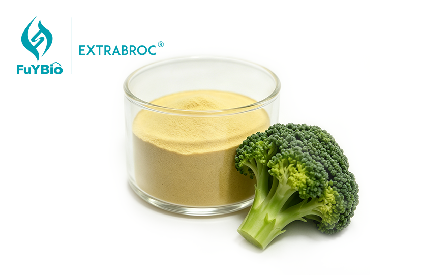 Broccoli Seed Extract Bulk